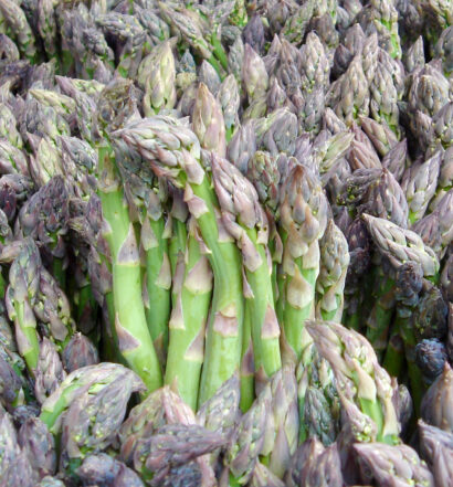 Asparagus - Essential Phytochemical