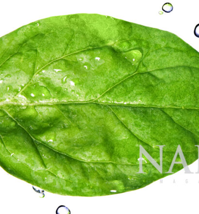 Naked Superfood: Leafy Greens - NakedFoodMagazine.com