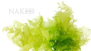 Naked Superfood: Sea Vegetables @ Naked Food Magazine