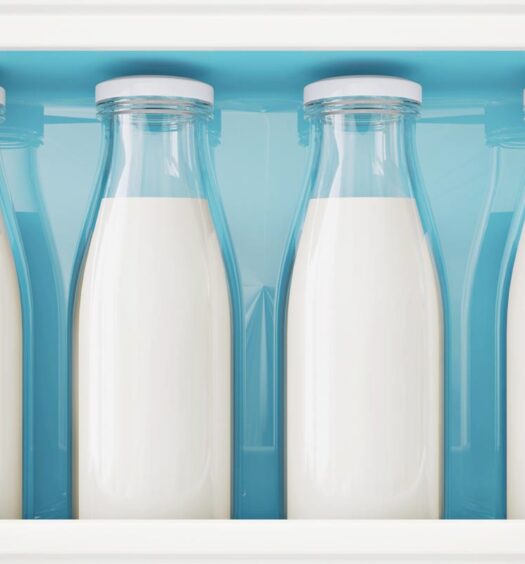 Calcium: Plant vs. Dairy