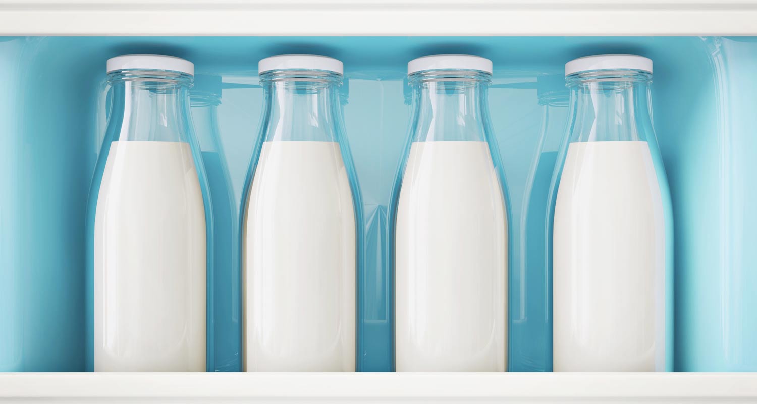 Calcium: Plant vs. Dairy
