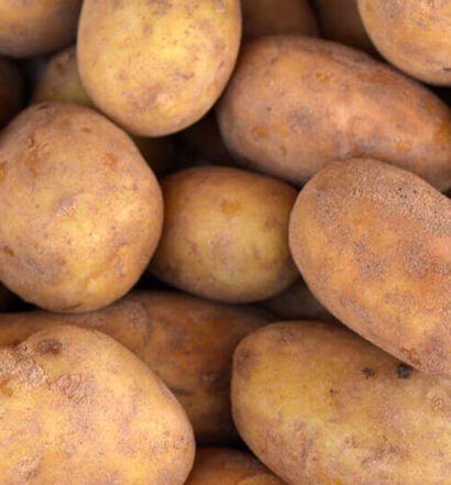 GMO Potato Now Classified as High-Risk | Naked Food Magazine