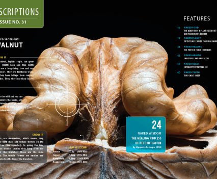 Naked Food Magazine | Issue 31